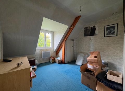 photo no. 12