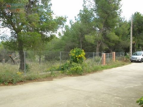 Urban plot of 1.118 m2 totally flat and fenced. Located in the Urb. La Pineda de Santa Cristina, La Bisbal del Penedes. The urbanization where it is located has electricity and running water service and lacks alcaltarillado and public lighting. 50 mi...