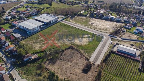 NEW pavilion under construction, Figueiredo. - Lot Area (2): 4,974.7m2 - Deployment area: 2,500m2 - Gross Construction Area: 2,600m2 - Right foot: 7.5m apx. Space for industrial activity, inserted in a new Industrial Park, with new and good access an...