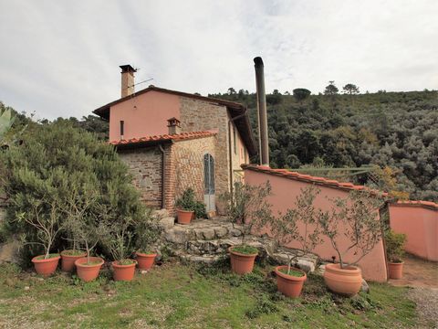 What strikes you to the point of taking your breath away is the view from the garden in front of the house. On clear days from this beautiful rustic located at the foot of the Pisan mountains, you can see the islands of Gorgona and Capraia. The prope...