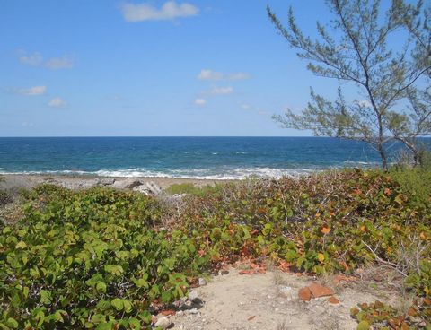 This multi-unit waterfront property is zoned for 4 units and has 105 feet of water frontage. Situated in the exclusive Whale Point Estates, on the island of Eleuthera, Bahamas. It has spectacular views of the Atlantic Ocean. A great investment proper...