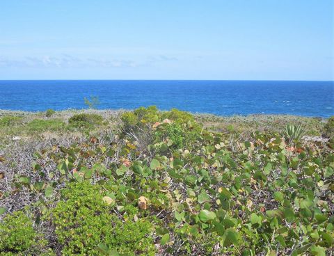 This unique triangular shaped lot has 208 ft. on the road in Whale Point Estates, Eleuthera. Good elevation and spectacular panoramic views of the Atlantic and Bottom Harbour. Less than 10 minutes from Harbour Island by boat. Located just 25 minutes ...
