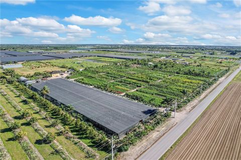15 ACRE TURN KEY LUSH FIELD GROWN AND LARGE CONTAINERS ( 25 GAL PLUS) PALM TREE PLANTATION WITH OVER 2 MILLION IN INVENTORY AND OVER 1 MILLION IN SALES. NUMBERS AND INVENTORY ARE AVAILABLE. THE PRODUCT IS SUPERIOR.NICE ROOT BALLS .. FEATURES INC DOCK...