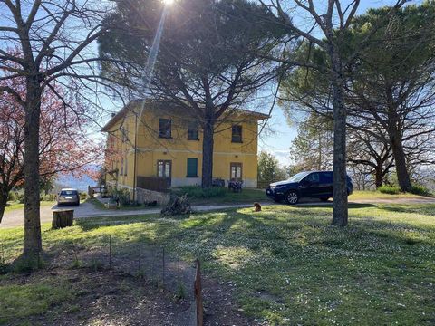 ORVIETO (PG): agritourism farm of about 82 hectares consisting of: - 22.5 hectares about of land use arable hillside suitable for any type of cultivation and planting; - 2 hectares approx. of olive grove; - 51.5 hectares approx. of mixed and coppice ...