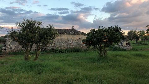 Beautiful rustic finca in the sky of Campanet with spectacular views, consists of 9135m2 of plot with an old house of about 45m2 with water well, fruit trees, etc.