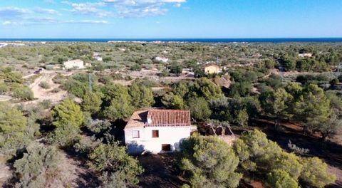 URGE NEGOTIABLE PRICE Finca rustic unique and exclusive of 16 489 M2 planted with olive and carob trees Inside there is a large and old semirestored Masia of 212 m2 unfinished residential use and which can be enlarged 80 M2 more restore the existing ...