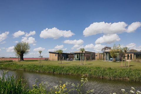 This luxurious, detached, single-storey lodge is located on the small-scale, low-traffic Resort Wijdenes in natural surroundings, right on the Markermeer. The lodge is fully equipped with all the creature comforts. There is a living room with smart T...