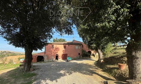 MONTALCINO (SI), Fraction of San Giovanni d'Asso: Farm with about 20 hectares of land and independent farmhouse of about 370 square meters in mixed stone, currently plastered, on two levels composed of: - Ground floor funds including two rooms for st...