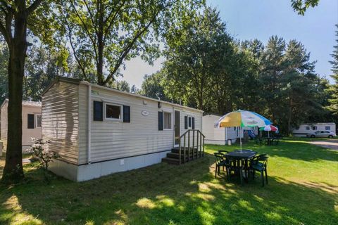 Holiday park Brugse Heide is located in the middle of the nature reserves 
