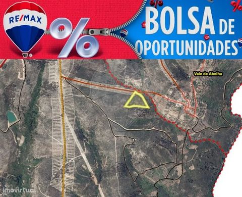 Rustic land with 7.120 m2, composed of pine forest. Located in Vale de Baixo, Ortiga, municipality of Mação. Area with stunning natural landscapes and several river beaches. Do not waste time book your visit now! At RE/MAX where your happiness lives!