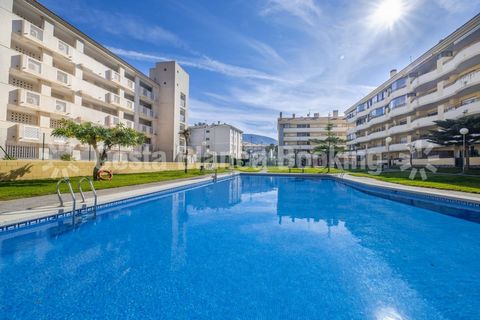 • COQUETO APARTMENT ON THE GROUND FLOOR IN ALBIR Apartment on the ground floor completely renovated and located in a private urbanization with beautiful common areas, communal pool, large green areas, paddle court and children's area. The apartment c...