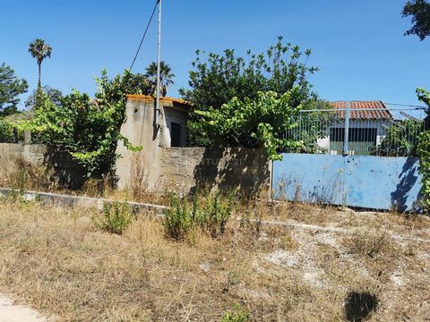 Si vous avez toujours rêvé de construire la maison parfaite dans un endroit calme et exclusif, c’est votre chance ! Je vous présente un terrain urbain de 2150m2 à Olhos de Agua Quinta do Anjo Palmela Portugal, prêt à construire la maison de vos rêves...