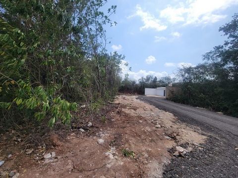 Terreno di 2.500 mt. in via Felipe Amaro, all'angolo con Insurgentes, a 200 metri. di viale Rogelio Castorena. Il terreno è di forma quadrata con 50 mt. anteriore x 50 mt. sullo sfondo, con uso misto del suolo nel quartiere.