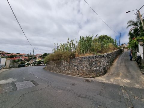 Welcome to the investment opportunity you've been waiting for! This plot of approximately 5000 square meters is located in a quiet area and offers the ideal space to build five villas of your dreams. Land Details: Total Area: About 5000 m² Constructi...