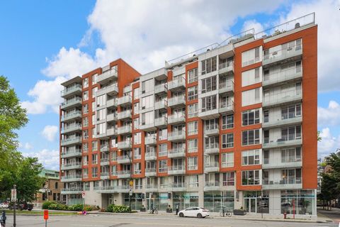 Hervorragende Eigentumswohnung im 6. Stock, bestehend aus einem Schlafzimmer, 1 Badezimmer und großem Balkon. 1 Garage inklusive. Ganz zu schweigen vom Außenpool, der Trocken- und Nasssauna, dem Fitnessraum, dem Schwimmbad und vielem mehr! Das Hotel ...