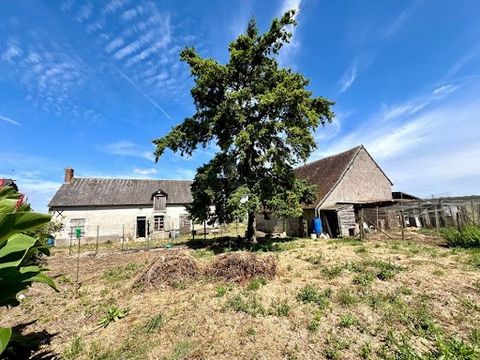 Ch. Hallouin offers you a farmhouse to renovate in Selommes; village located 10 minutes from Vendôme. Countryside environment, very quiet. Currently 3 rooms about 80m2, with water and electricity. Note: the convertible attic for an area of about 70m2...