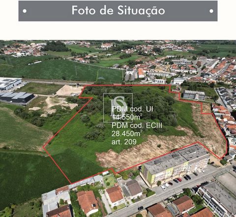 Exclusive Land for Construction in Arcozelo, Barcelos - Unmissable Opportunity for Builders and Investors We present a rare and valuable opportunity for high-level builders and investors: a plot of land with unique potential for housing construction ...