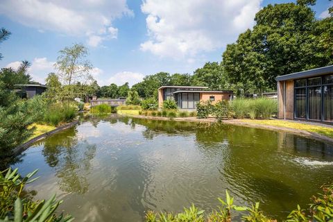 Dieses freistehende Chalet mit Außenwhirlpool befindet sich im weitläufigen und baumreichen Ferienpark „Landgoed De Scheleberg”. Mitten in der Natur und doch nur 7 km von der Stadt Ede und 5 km von der Ortschaft Lunteren entfernt. Dieses moderne und ...