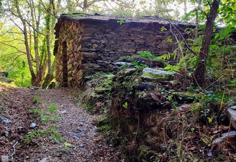 Pagliaio e terra in un luogo bucolico Il Palheiro da Várzea, costruito in scisto e ardesia, si trova nel villaggio di Covas do Rio, un piccolo e affascinante villaggio rurale. È circondata da una natura intatta e rigogliosa. Questo angolo paradisiaco...