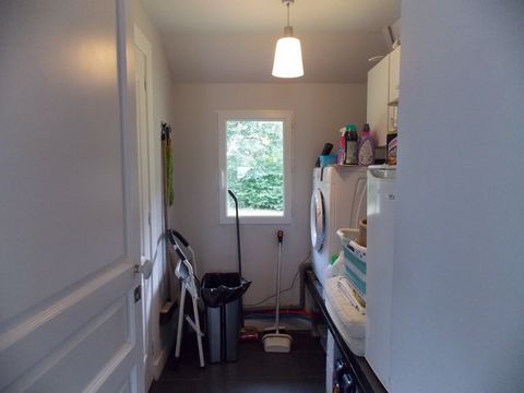 photo no. 16