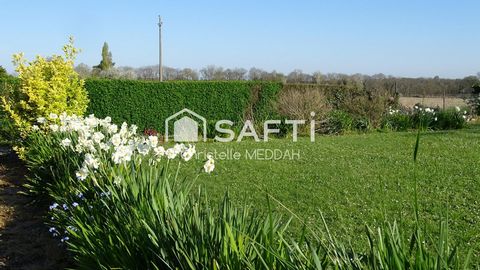 photo no. 13