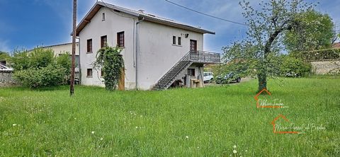 photo no. 16