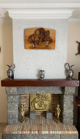 photo no. 8