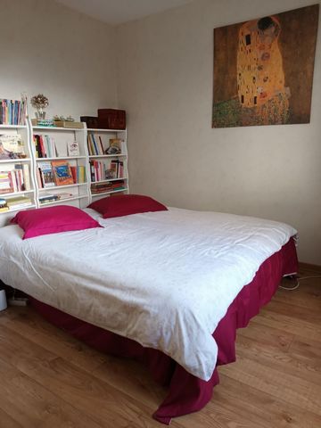 photo no. 8