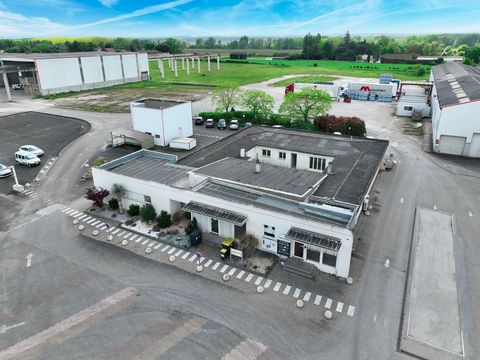À LOUER – BUREAUX 250 m² – PRÊTS À L’EMPLOI –