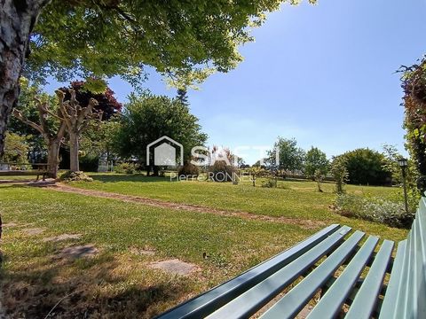 photo no. 10