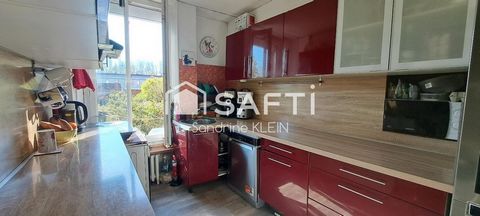 photo no. 10