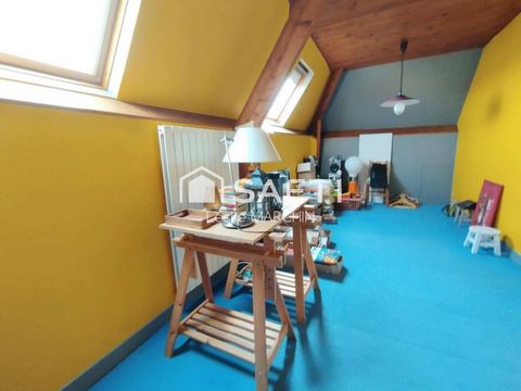 photo no. 12
