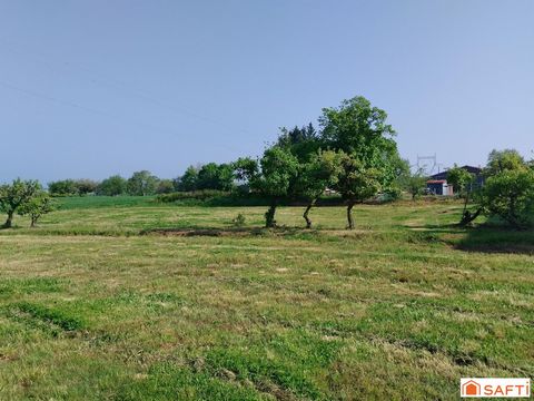 photo no. 5