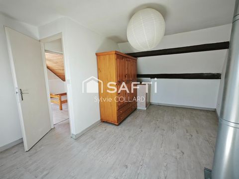 photo no. 5