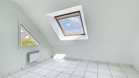 photo no. 12