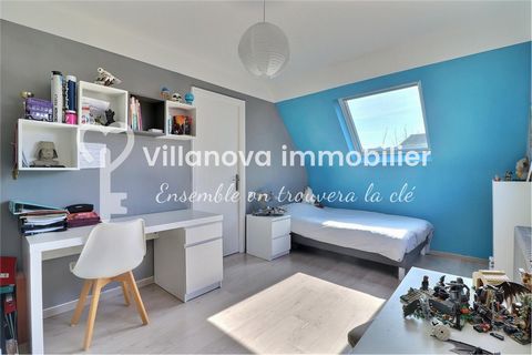 photo no. 6