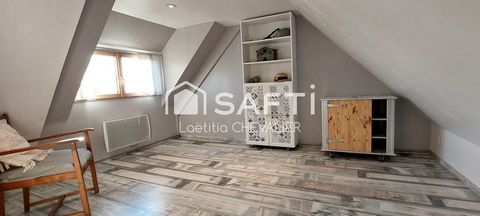 photo no. 11