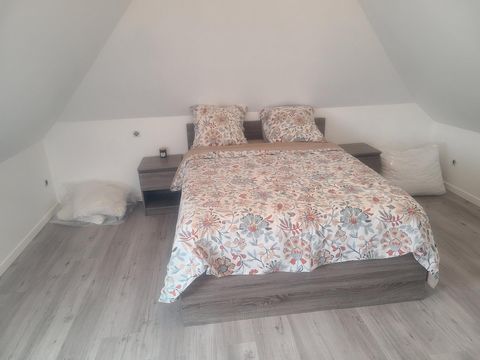 photo no. 5