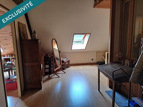 photo no. 15
