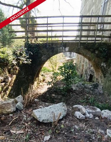 photo no. 12