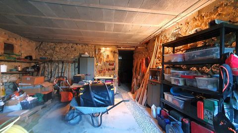 photo no. 23