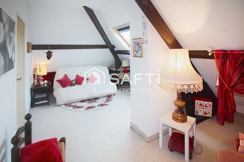 photo no. 16