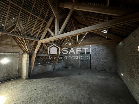 photo no. 14