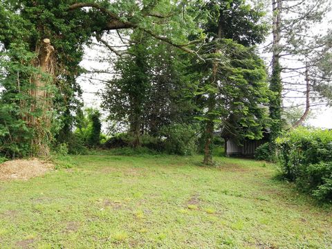 TERRAIN CONSTRUCTIBLE VATTEVILLE LA RUE