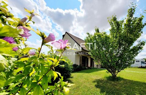 photo no. 17