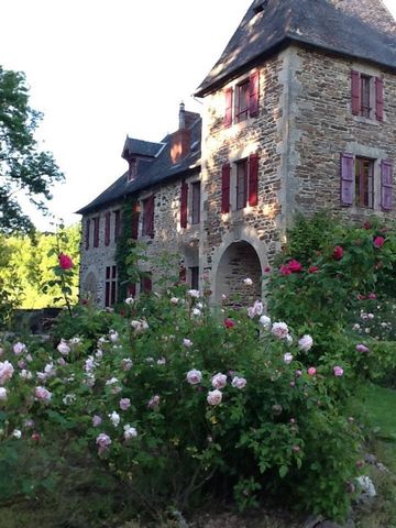 photo no. 9