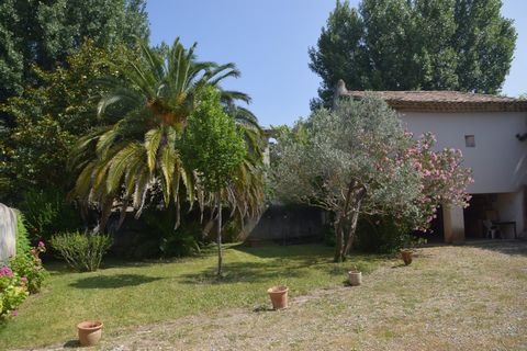 photo no. 4