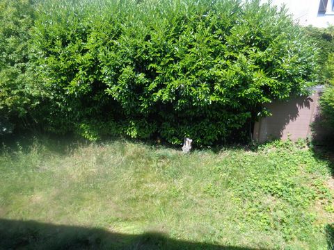 photo no. 7