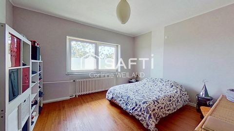 photo no. 6
