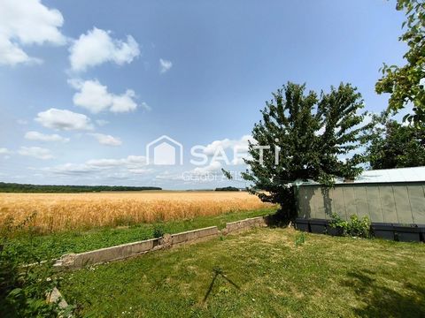 photo no. 10